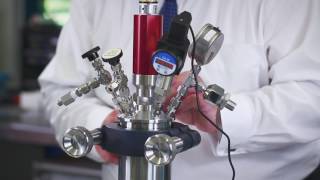 Leak testing on high pressure reactors [upl. by Willis]