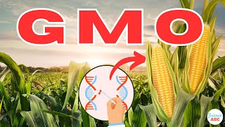 What are GMOs Genetically Modified Organisms [upl. by Vasti448]