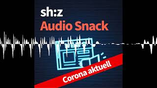 2104 Mehr Sicherheit an Bahnübergängen Gemeinde Tarp berät über Maßnahmen  shz Audio Snack [upl. by Ansley]