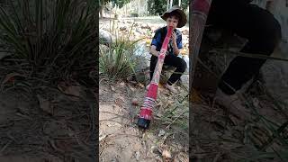 Playing On Self Made Yidaki By The Creek At Robelle Domain Parkland Key Of 432hz G [upl. by Ayerim]