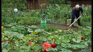 COMMENT AMÉLIORER LE SOL AVEC UN AMENDEMENT ORGANIQUE NATUREL ET PRÊT À LEMPLOI [upl. by Llecram]