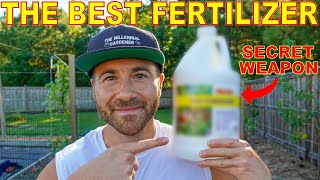 This Fertilizer Is My SECRET WEAPON For A Healthy Productive Garden [upl. by Delisle629]