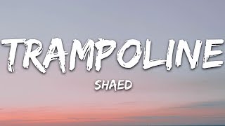 SHAED  Trampoline Lyrics [upl. by Gaulin]