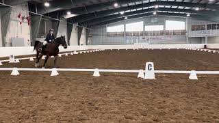 OC DressageTraining Level Test C CC Craig on Big Mac University Of Guelph Ridgetown Campus [upl. by Mancino]