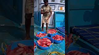 Mangalore boat 1st day we caught lot of unnimary fishes 👇 seafood fishing thenkadalmeenavan [upl. by Diehl]