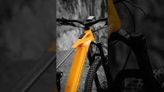 MONDRAKER CHASER R [upl. by Temme]