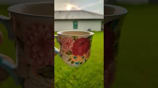 immokalee florida nonstoprain bear summer morning coffee [upl. by Nylannej]