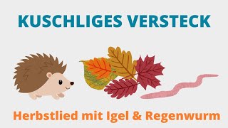 KUSCHLIGES VERSTECK  für Erzieher mit Igel amp Regenwurm winterschlaf herbst [upl. by Natka]