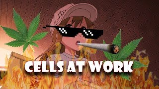 Cells at Work ON CRACK Hataraku Saibou [upl. by Bendix118]