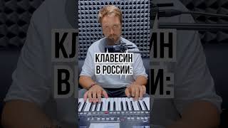 youtubeshorts harpsichord harpsi криминальнаяроссия нтв криминал полиция humor piano [upl. by Cherilynn]