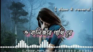 O Kolizar Pakhi Re  ও কলিজার পাখি রে ।slowed Reverd  New best lofi songs  Bengali sad song reverb [upl. by Payton183]