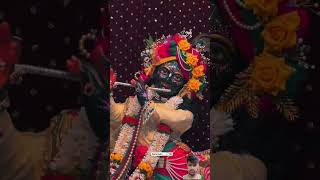 न्यू भक्ति ringtone newbhaktisong ringtone jaishreekrishna radheradhebhaktistatus greenscreen [upl. by Anital158]