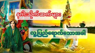 လူ့လောကရောက်သောအခါ ဖြစ်လေ့ဖြစ်ထရှိတဲ့ နဂါးသိုက်ဆက်များစရိုက် [upl. by Brenner]