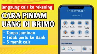 cara Pinjam Uang Di BRI tanpa jaminan  pinjaman online langsung cair [upl. by Yuk605]