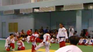 sikaran vs taekwondo [upl. by Ennirac]