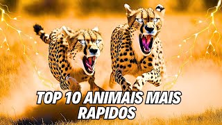 10 ANIMAIS MAIS RAPIDOS DO MUNDO [upl. by Romito55]