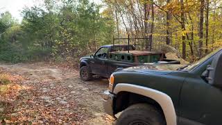 Maine Blackbear Hound Hunt [upl. by Beth43]