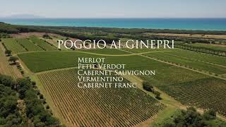 Terroir Poggio ai Ginepri [upl. by Sharp580]