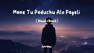 Mane Tu Paduchu Alo Pageli  Odia Lofi Song  Human Sagar  Slowed amp Reverb  Soft Vibes [upl. by Sherill]