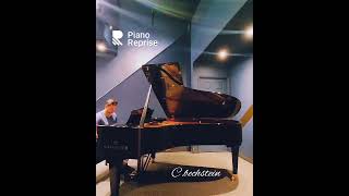 Bechstein Piano piano bechstein pianotuning grandpiano [upl. by Maisie279]