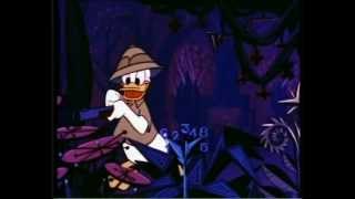 Donald au Pays des Mathémagiques 1959  Walt Disney [upl. by Neelya]