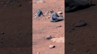 Real Mars  Curved Bands of Rocks at quotSkrinkle Havenquot marsmission journeytomars marsdiscovery [upl. by Gnemgnok]