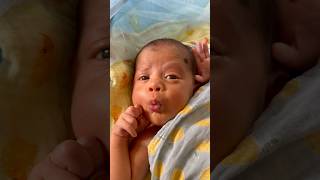 Adorable cute moment of a newborn learns to pout newbornbaby babyshorts cutebaby youtubeshorts [upl. by Ycal77]