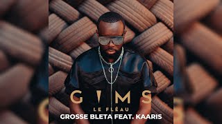 GIMS  GROSSE BLETA feat KAARIS Audio Officiel [upl. by Scevor244]