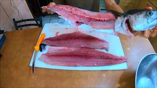 Howto fillet a Spanish Mackerel Fish amp Cook Part 2 [upl. by Fahland]