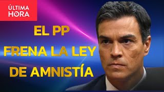 EL PP CONSIGUE FRENAR LA LEY DE LA AMNISTÍA EN EL SENADO PEDRO SANCHEZ TIEMBLA [upl. by Aserat]