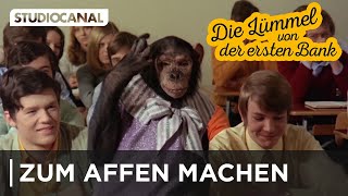 DIE LÜMMEL VON DER ERSTEN BANK  Wenn Lehrer sich zum Affen machen [upl. by Bickart]