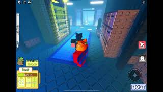 Beating the cooler room in raise a ducky [upl. by Banwell]