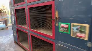 SHEFFIELD HEELEY CITY FARM TOUR PART TWO [upl. by Ignaz956]