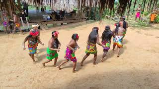 Embera tribe [upl. by Oicnedurp]