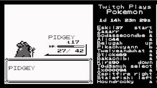 Pidgey evolves into Pidgeotto  TwitchPlaysPokemon Highlights Red [upl. by Adi]