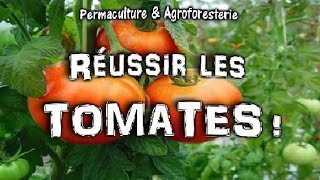 COMMENT PLANTER LES TOMATES AU JARDIN POTAGER EN PERMACULTURE  ASTUCES amp TUTEURER [upl. by Faust]