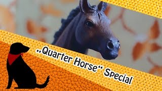 SONDERMODELL Quarter Horse Hengst 2015 HD [upl. by Ahsikel431]