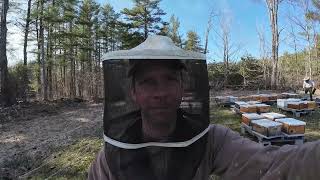 2024 bee season has begun Unpacking nucleus colonies [upl. by Devol]