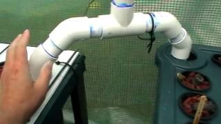 Keep two aquaponic tanks the same level with a U syphon [upl. by Boleyn]