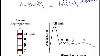 USMLE ACE Video 43 Immunoglobulin Structure [upl. by Alegnat]