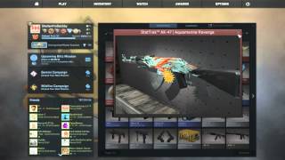 TRIPLING MY INVENTORY ON CSGODOUBLE [upl. by Ellennoj517]