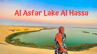 Al Asfar Lake Al Hassa Largest oasis in Saudi  Yellow lake  بحيرة الأصفر Desert Miracle HD 4K [upl. by Topliffe]