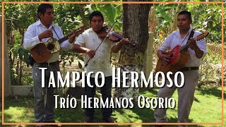 Trío Hermanos Osorio  Tampico Hermoso [upl. by Giacopo]