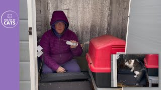 Testing the Heating Pads in Cat Houses From Inside the Cat Shed [upl. by Eelta142]