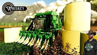 Cotton Harvest  Farming Simulator 22  Whiskey RP Season 2 Episode 17 [upl. by Nikos]