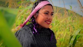 Mi Linda Tierra  La Excelencia De Oaxaca VIDEO OFICIAL 2017 [upl. by Adiana]