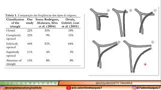 CARDIOANATOMÍA  TRÍGONO ARTERIOVENOSO DE BROCQ Y MOCHET [upl. by Vivyan128]