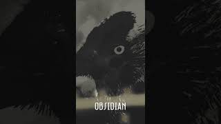 OBSIDIAN videoclip trailer [upl. by Kired]