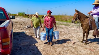 COMO HACER UN QUESO DELICIOSO ¡¡ASADERAS O PANELAS   RUTA LA NUEVE [upl. by Bloch]