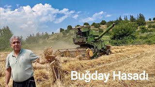 Fırtınalı Yağmurda Yatan Buğday Dekara 500Kg Verdi  Buğdayda Hasat Başladı [upl. by Yllatan726]